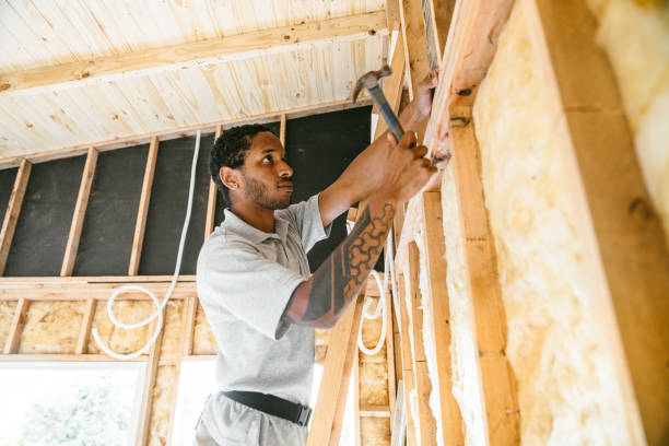 Best Insulation Replacement Services  in Dilkon, AZ